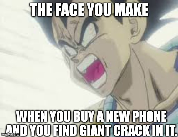 Vegeta rage | THE FACE YOU MAKE; WHEN YOU BUY A NEW PHONE AND YOU FIND GIANT CRACK IN IT. | image tagged in vegeta rage | made w/ Imgflip meme maker