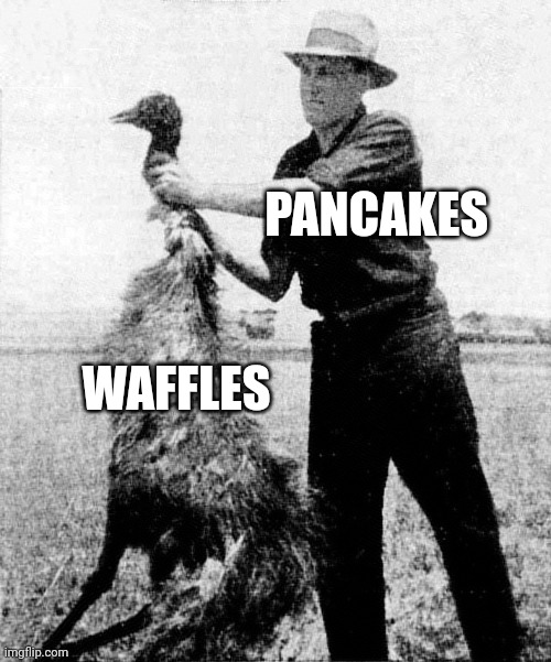 Pancakes would definitely strangle waffles to death | PANCAKES; WAFFLES | image tagged in great emu war | made w/ Imgflip meme maker