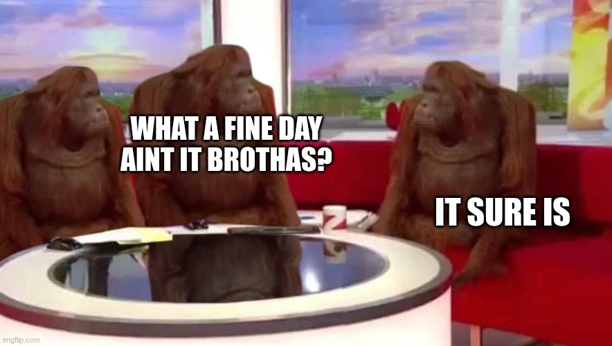 where monkey | WHAT A FINE DAY
AINT IT BROTHAS? IT SURE IS | image tagged in where monkey | made w/ Imgflip meme maker