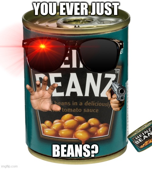 Want Explanation? You Won't Get Any | YOU EVER JUST; BEANS? | image tagged in can of beanz | made w/ Imgflip meme maker