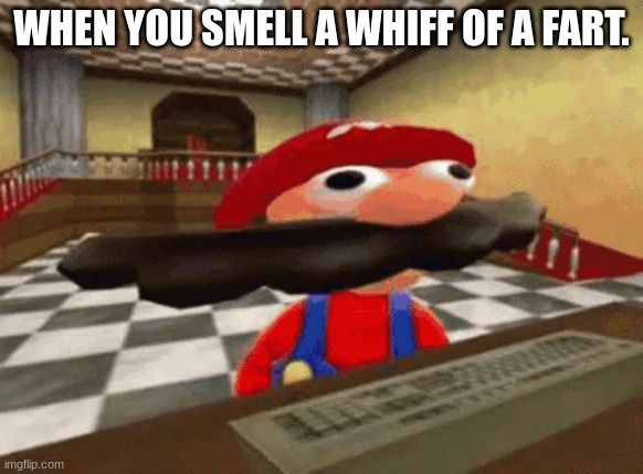 WHEN YOU SMELL A WHIFF OF A FART. | image tagged in smg4 shotgun mario | made w/ Imgflip meme maker