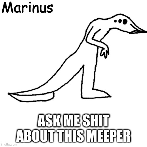 Marinus | ASK ME SHIT ABOUT THIS MEEPER | image tagged in marinus | made w/ Imgflip meme maker