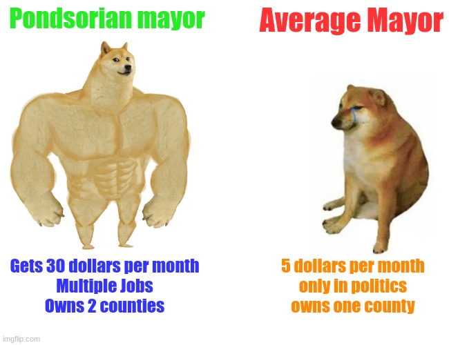 Bro makes us run out of paper ? | Pondsorian mayor; Average Mayor; Gets 30 dollars per month
Multiple Jobs
Owns 2 counties; 5 dollars per month
only in politics
owns one county | image tagged in memes,buff doge vs cheems | made w/ Imgflip meme maker