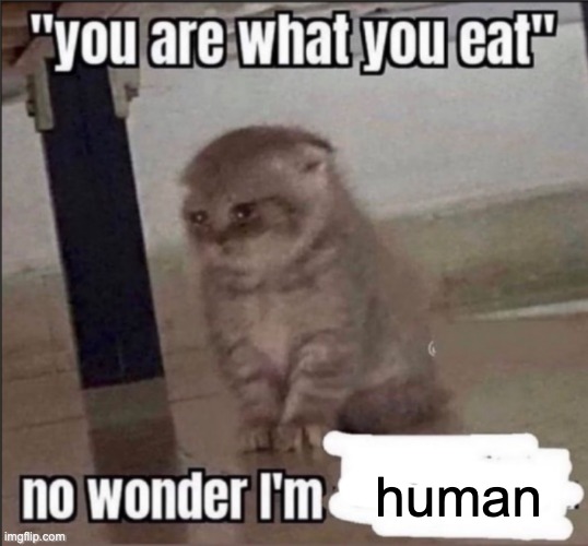 you are what you eat | human | image tagged in you are what you eat | made w/ Imgflip meme maker