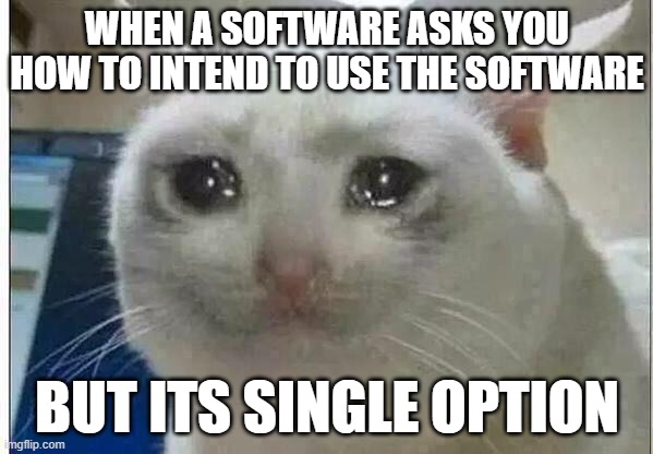 crying cat | WHEN A SOFTWARE ASKS YOU HOW TO INTEND TO USE THE SOFTWARE; BUT ITS SINGLE OPTION | image tagged in crying cat | made w/ Imgflip meme maker