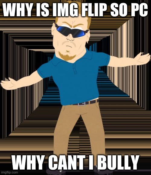 PC Principal | WHY IS IMG FLIP SO PC; WHY CANT I BULLY | image tagged in pc principal | made w/ Imgflip meme maker