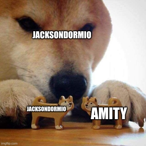 bro just look at his profile the first meme you see | JACKSONDORMIO; JACKSONDORMIO; AMITY | image tagged in dog now kiss | made w/ Imgflip meme maker