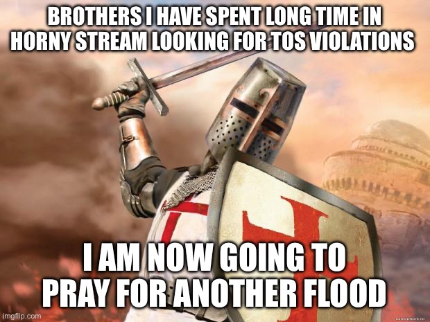 crusader | BROTHERS I HAVE SPENT LONG TIME IN HORNY STREAM LOOKING FOR TOS VIOLATIONS; I AM NOW GOING TO PRAY FOR ANOTHER FLOOD | image tagged in crusader,help me | made w/ Imgflip meme maker