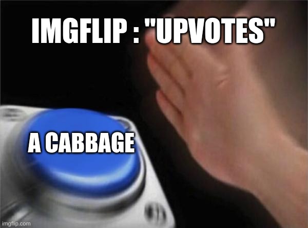 Why, It makes no Sense | IMGFLIP : "UPVOTES"; A CABBAGE | image tagged in memes,blank nut button | made w/ Imgflip meme maker