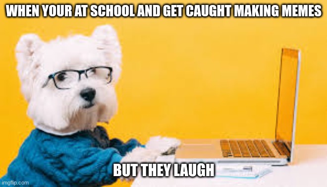 Me IRL | WHEN YOUR AT SCHOOL AND GET CAUGHT MAKING MEMES; BUT THEY LAUGH | image tagged in dog when | made w/ Imgflip meme maker
