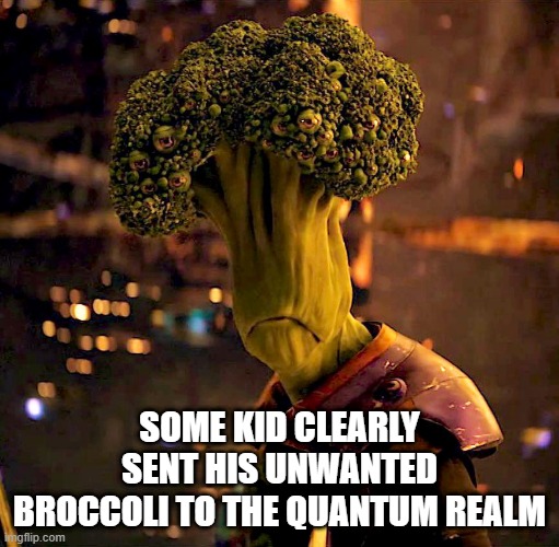 Well, the Dog Didn't Eat It | SOME KID CLEARLY SENT HIS UNWANTED BROCCOLI TO THE QUANTUM REALM | image tagged in antman | made w/ Imgflip meme maker