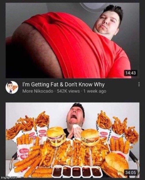 reminds me of that "im not obese. im cute" gif or whatever its called | made w/ Imgflip meme maker