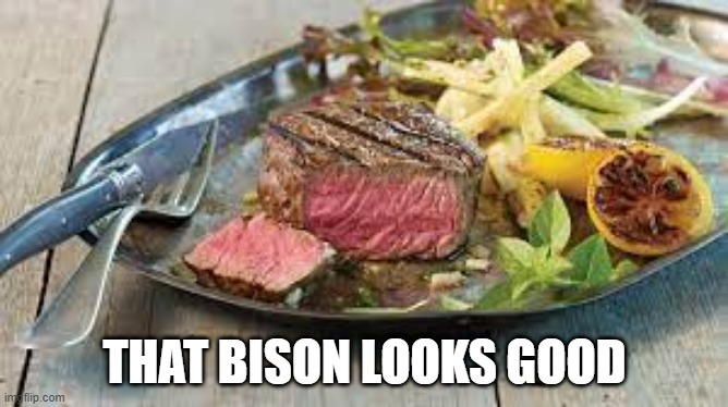 Bison | THAT BISON LOOKS GOOD | image tagged in food | made w/ Imgflip meme maker