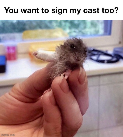 Hope better soon | image tagged in repost,memes,funny,cast,animals,sign | made w/ Imgflip meme maker