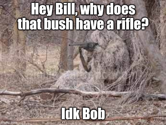 Ai in games be like | Hey Bill, why does that bush have a rifle? Idk Bob | image tagged in ghillie suit | made w/ Imgflip meme maker