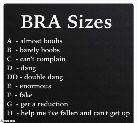Sizes | image tagged in boobs | made w/ Imgflip meme maker