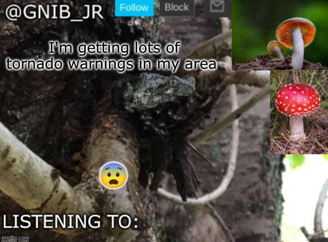idk whats gonna happen | I'm getting lots of tornado warnings in my area; 😨 | image tagged in gnib_jr's new temp | made w/ Imgflip meme maker