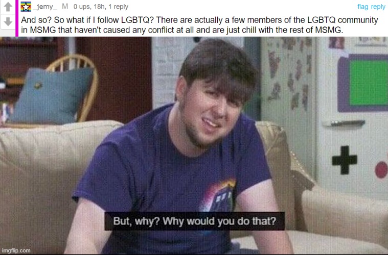 No offense, I just find that like 98% of the LGBTQ stream is just "hey I'm bi" or something like that bruh is the point of it to | image tagged in but why why would you do that | made w/ Imgflip meme maker