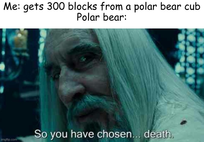 Minecraft memes |  Me: gets 300 blocks from a polar bear cub
Polar bear: | image tagged in so you have chosen death | made w/ Imgflip meme maker