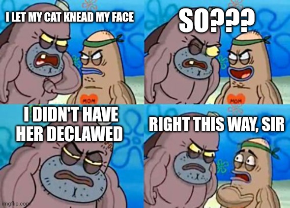 When you let your cat knead your face | SO??? I LET MY CAT KNEAD MY FACE; I DIDN'T HAVE HER DECLAWED; RIGHT THIS WAY, SIR | image tagged in memes,how tough are you | made w/ Imgflip meme maker