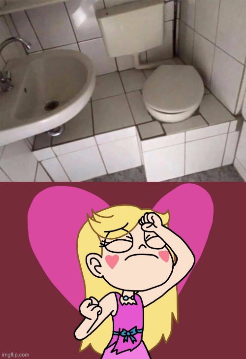 image tagged in star butterfly punching herself,memes,star vs the forces of evil,you had one job,design fails,bathroom | made w/ Imgflip meme maker