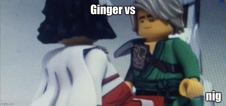 Dont pause ninjago | Ginger vs; nig | image tagged in dont pause ninjago | made w/ Imgflip meme maker