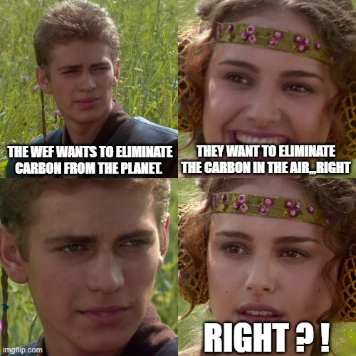 Humans are a carbon base lifeform. | THE WEF WANTS TO ELIMINATE CARBON FROM THE PLANET. THEY WANT TO ELIMINATE THE CARBON IN THE AIR,,,RIGHT; RIGHT ? ! | image tagged in meme,wef,carbon | made w/ Imgflip meme maker