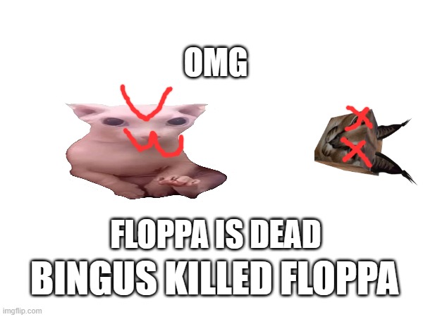 FLOPPA IS DEAD AND BINGUS KILLED IT | OMG; FLOPPA IS DEAD; BINGUS KILLED FLOPPA | image tagged in floppa | made w/ Imgflip meme maker