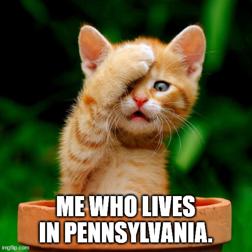 Cat face palm  | ME WHO LIVES IN PENNSYLVANIA. | image tagged in cat face palm | made w/ Imgflip meme maker