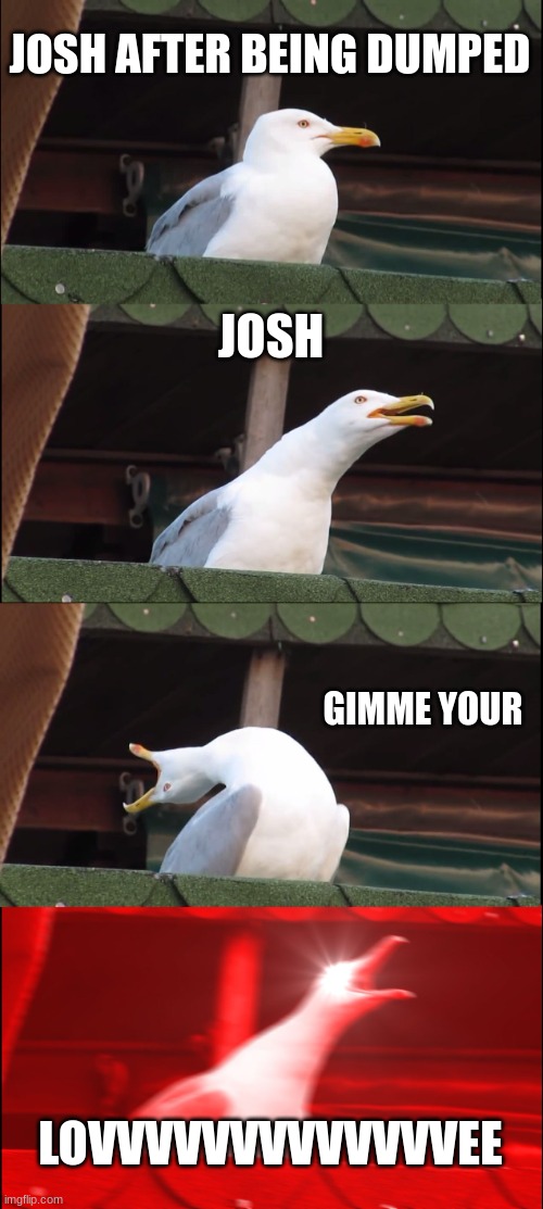 Josh | JOSH AFTER BEING DUMPED; JOSH; GIMME YOUR; LOVVVVVVVVVVVVVEE | image tagged in memes,inhaling seagull | made w/ Imgflip meme maker