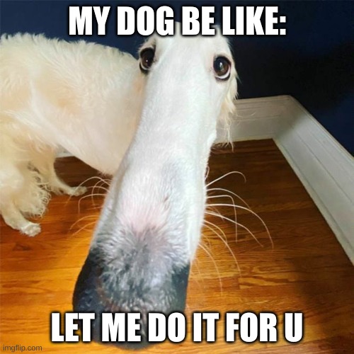 LET ME HAVE IT!!!!!!!!! | MY DOG BE LIKE:; LET ME DO IT FOR U | image tagged in let me do it for you,doge | made w/ Imgflip meme maker