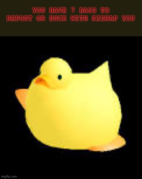 Fat ducky | YOU HAVE 7 DAYS TO REPOST OR DUCK WITH KIDNAP YOU | image tagged in fat ducky | made w/ Imgflip meme maker