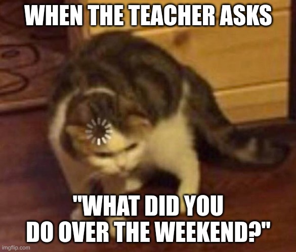 I have to ask my brother :p | WHEN THE TEACHER ASKS; "WHAT DID YOU DO OVER THE WEEKEND?" | image tagged in thinking cat,remember,school,teacher | made w/ Imgflip meme maker