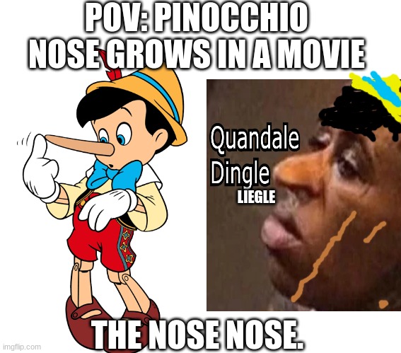 dingle liegle meme | POV: PINOCCHIO NOSE GROWS IN A MOVIE; LIEGLE; THE NOSE NOSE. | image tagged in quandale dingle,pinnochio | made w/ Imgflip meme maker