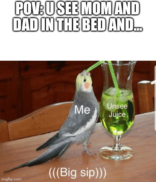Oh no | POV: U SEE MOM AND DAD IN THE BED AND... | image tagged in unsee juice,memes,bed | made w/ Imgflip meme maker