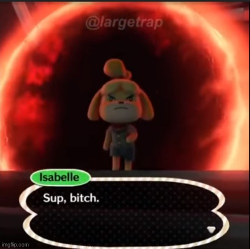 Isabelle sup bitch | image tagged in isabelle sup bitch | made w/ Imgflip meme maker