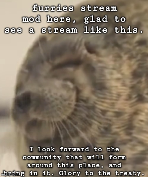 glory to the treaty | furries stream mod here, glad to see a stream like this. I look forward to the community that will form around this place, and being in it. Glory to the treaty. | image tagged in happy sea-doggo | made w/ Imgflip meme maker