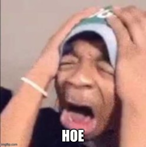 HOE | made w/ Imgflip meme maker