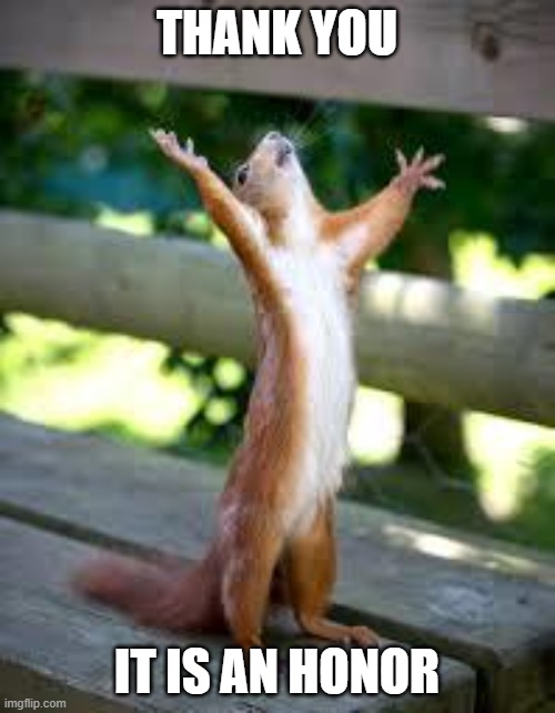 Praise Squirrel | THANK YOU IT IS AN HONOR | image tagged in praise squirrel | made w/ Imgflip meme maker