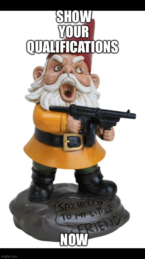 Angry Gnome | SHOW YOUR QUALIFICATIONS; NOW | image tagged in angry gnome | made w/ Imgflip meme maker