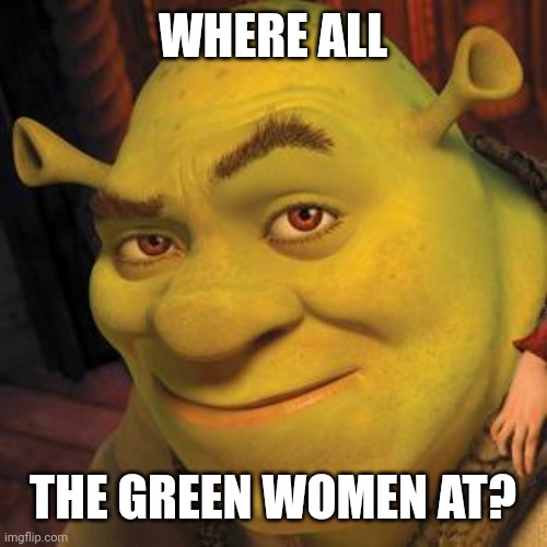 It's all Shrek here | WHERE ALL; THE GREEN WOMEN AT? | image tagged in shrek sexy face,where,all,the,sexy women | made w/ Imgflip meme maker