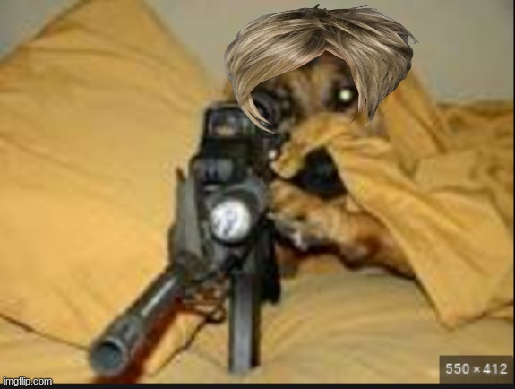 dog with gun | image tagged in dog with gun | made w/ Imgflip meme maker