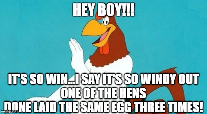 HEY BOY! | HEY BOY!!! IT'S SO WIN...I SAY IT'S SO WINDY OUT
ONE OF THE HENS DONE LAID THE SAME EGG THREE TIMES! | image tagged in hey boy,foghorn leghorn,funny memes | made w/ Imgflip meme maker