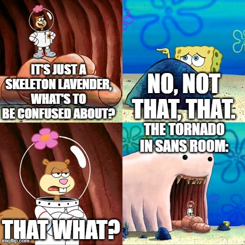 help me | NO, NOT THAT, THAT. IT'S JUST A SKELETON LAVENDER,
WHAT'S TO BE CONFUSED ABOUT? THE TORNADO IN SANS ROOM:; THAT WHAT? | image tagged in sandy alaskan bull worm,undertale,sans | made w/ Imgflip meme maker