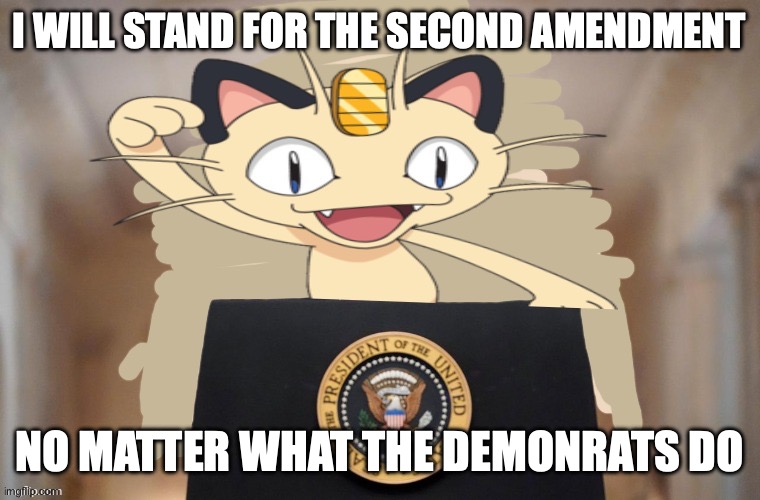 Meowth party | I WILL STAND FOR THE SECOND AMENDMENT NO MATTER WHAT THE DEMONRATS DO | image tagged in meowth party | made w/ Imgflip meme maker