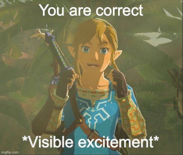Visible excitement | You are correct | image tagged in visible excitement | made w/ Imgflip meme maker