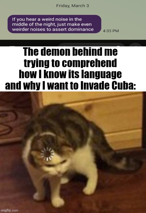 Loading Cat |  The demon behind me trying to comprehend how I know its language and why I want to Invade Cuba: | image tagged in loading cat | made w/ Imgflip meme maker