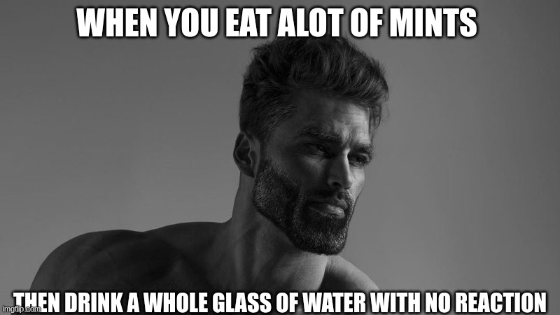 chad sigma | WHEN YOU EAT ALOT OF MINTS; THEN DRINK A WHOLE GLASS OF WATER WITH NO REACTION | image tagged in chad sigma | made w/ Imgflip meme maker