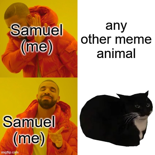 maxwell is the lord of animal memes, change my mind | any other meme animal; Samuel (me); Samuel (me) | image tagged in memes,drake hotline bling | made w/ Imgflip meme maker