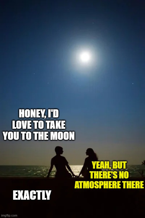 Couple on beach looking at the moonlight | HONEY, I'D LOVE TO TAKE YOU TO THE MOON; YEAH, BUT THERE'S NO ATMOSPHERE THERE; EXACTLY | image tagged in couple on beach looking at the moonlight | made w/ Imgflip meme maker